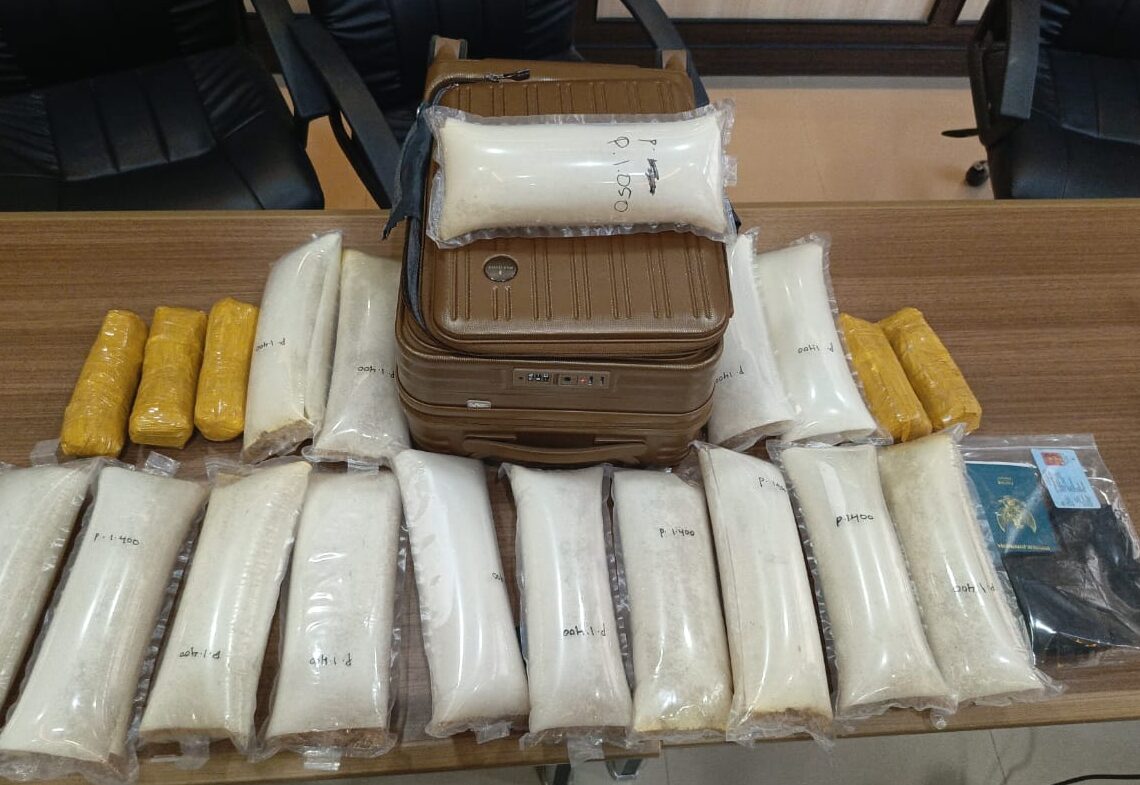 Barang Bukti 31.850 ekor Benih Bening Lobster (BBL) (Panulirus sp) yang akan dikirim ke Singapura. -IST