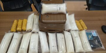 Barang Bukti 31.850 ekor Benih Bening Lobster (BBL) (Panulirus sp) yang akan dikirim ke Singapura. -IST