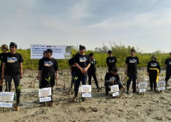 Tanam Ratusan Mangrove, Bulog Ajak Jaga Lingkungan. -Balitopik.com
