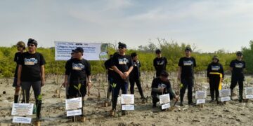 Tanam Ratusan Mangrove, Bulog Ajak Jaga Lingkungan. -Balitopik.com