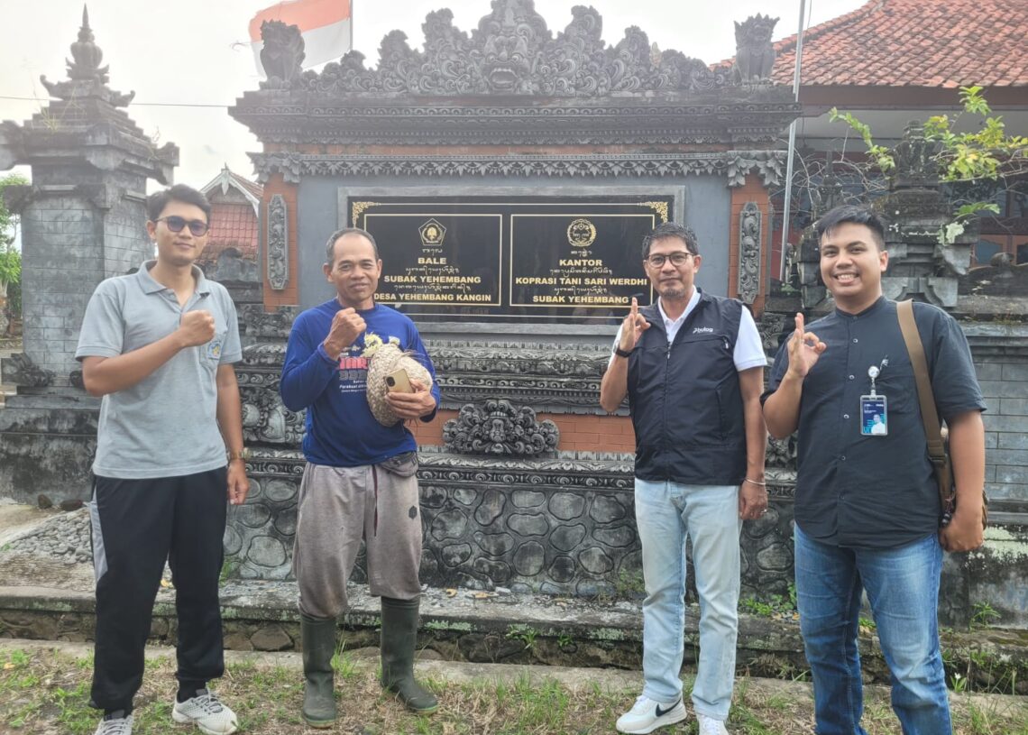 Bulog Bali Siap Membeli Gabah dan Beras Sesuai Kualitas dan HPP.