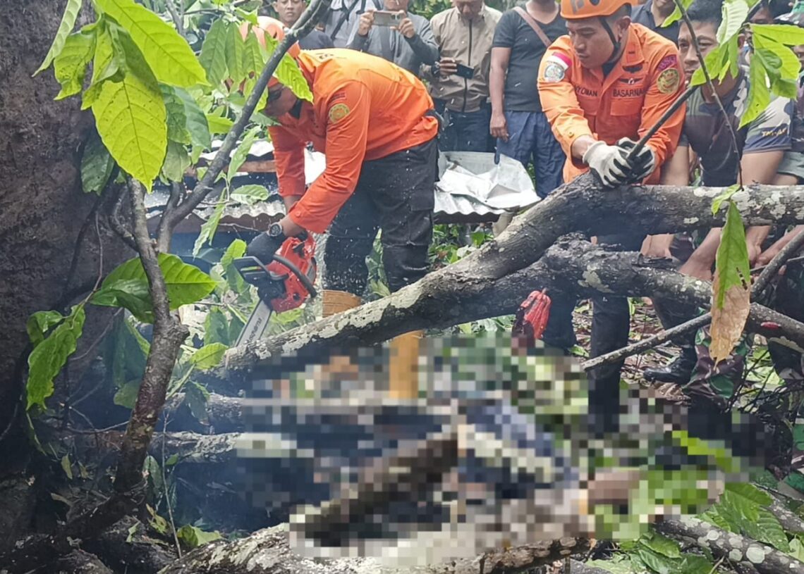Proses evakuasi salah satu korban longsor yang tertimbun pohon di Klungkung.