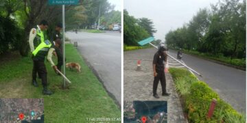 Proses pencabutan plang Jalan Kura Kura Bali oleh security PT BTID. -IST