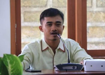 Direktur Lembaga Demokrasi dan Kepemiluan KMHDI, Putu Esa Purwita. -IST