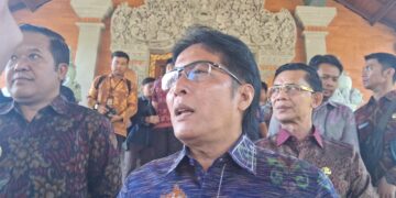 Wakil Gubernur Bali I Nyoman Giri Prasta. -IST