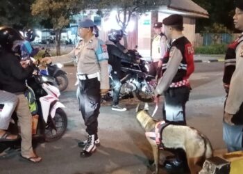 Anjing K9 saat diajak memeriksa kendaraan dan barang bawaan yang masuk ke Bali via Pelabuhan Gilimanuk. -Humas Polda Bali