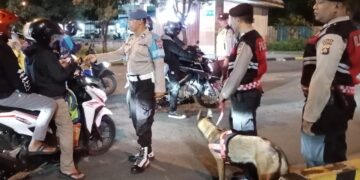 Anjing K9 saat diajak memeriksa kendaraan dan barang bawaan yang masuk ke Bali via Pelabuhan Gilimanuk. -Humas Polda Bali