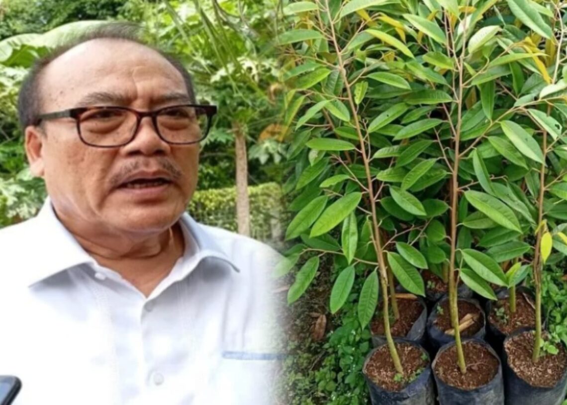 Kolase: Ketua DPD I Partai Golkar Bali, I Nyoman Sugawa Korry. -IST