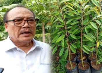 Kolase: Ketua DPD I Partai Golkar Bali, I Nyoman Sugawa Korry. -IST