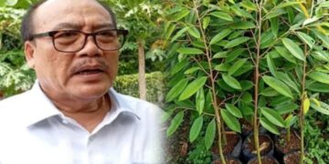 Kolase: Ketua DPD I Partai Golkar Bali, I Nyoman Sugawa Korry. -IST