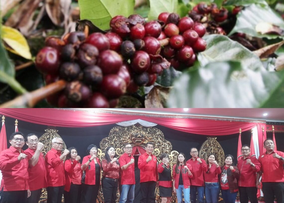 Kolase: Buah Kopi Pupuan Tabanan dan panitia (DPD PDIP Bali) penyelenggara BBK 2025. -Balitopik.com