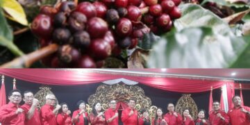 Kolase: Buah Kopi Pupuan Tabanan dan panitia (DPD PDIP Bali) penyelenggara BBK 2025. -Balitopik.com