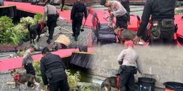 Anjing Pelacak K9 Polda Bali saat mengendus area PKB. -IST