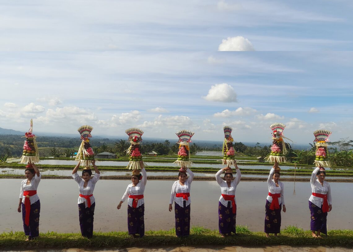 Sejumlah Ibu-ibu saat tampil di pembukaan Festival Jatiluwih ke-VI tahun 2025. -Balitopik.com