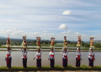 Sejumlah Ibu-ibu saat tampil di pembukaan Festival Jatiluwih ke-VI tahun 2025. -Balitopik.com