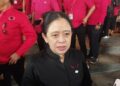 Ketua Dewan Pimpinan Pusat (DPP) PDI Perjuangan Puan Maharani. -Balitopik.com