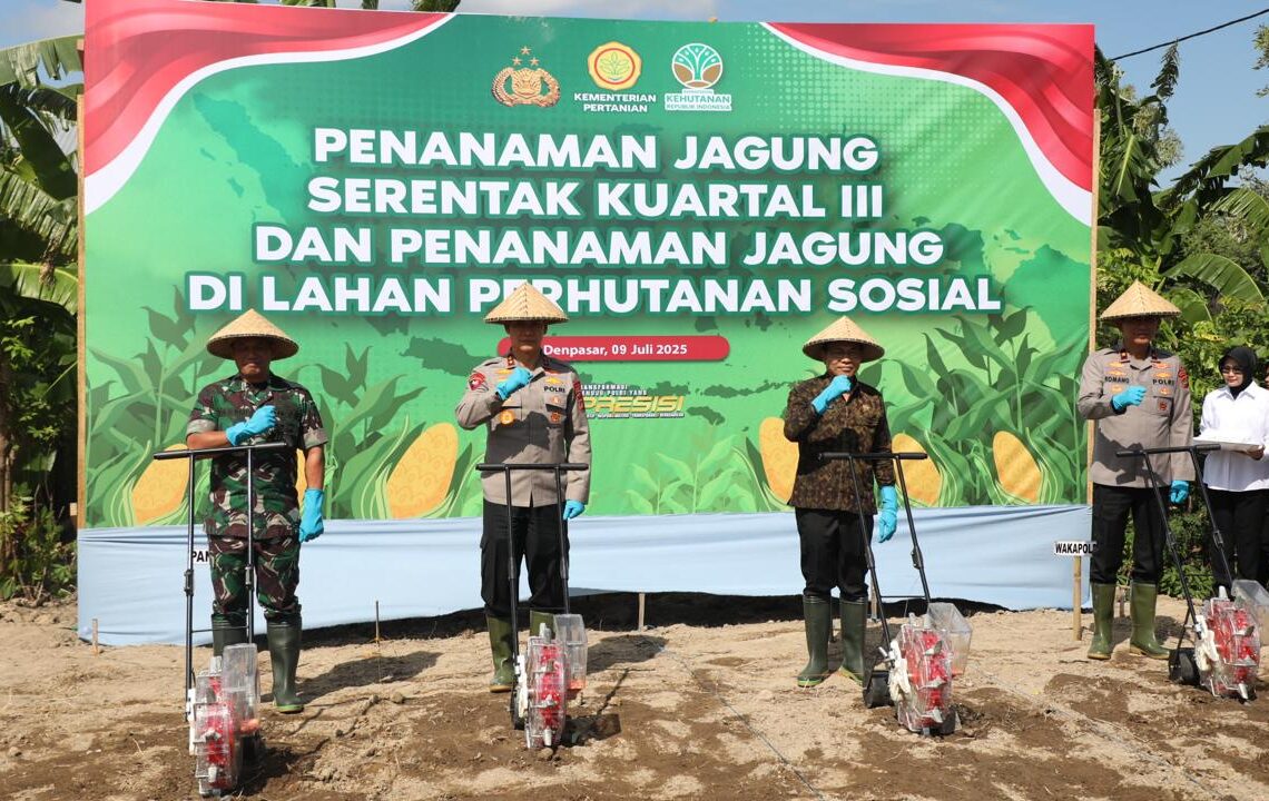 Kapolda Bali, Irjen Pol. Daniel Adityajaya, S.I.K., M.Si., (dua dari kiri) saat melakukan penanaman jagung serentak di Asrama Polisi Abian Timbul, Denpasar, Rabu (9/7/2025). -IST