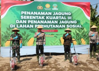 Kapolda Bali, Irjen Pol. Daniel Adityajaya, S.I.K., M.Si., (dua dari kiri) saat melakukan penanaman jagung serentak di Asrama Polisi Abian Timbul, Denpasar, Rabu (9/7/2025). -IST