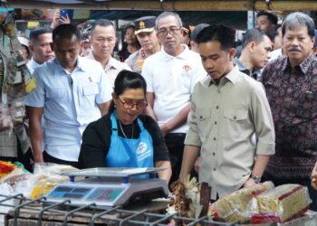 Wakil Presiden Gibran Rakabuming Raka saat meninjau harga bahan pokok di Pasar Dauh Pala Tabanan. -IST