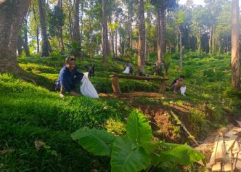 KPH Bali Utara Klarifikasi Isu Pembabatan Hutan di Desa Ambengan. -IST/Balitopik.com