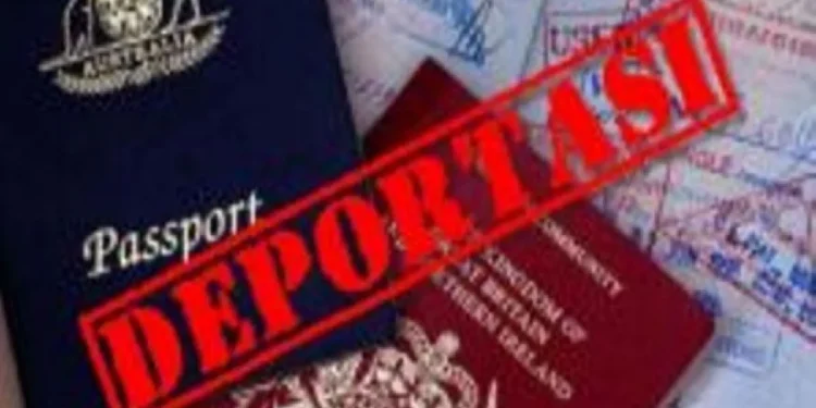 (Ilustrasi Deportasi). -IST/Balitopik.com