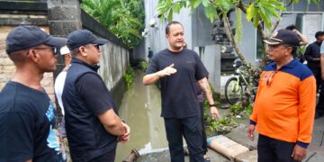 Wakil Bupati Badung Bagus Alit Sucipta saat meninjau lokasi banjir di Badung Utara. -IST/Balitopik.com
