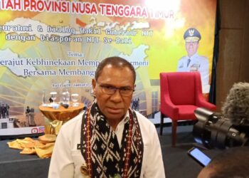 Wakil Gubernur NTT Dr. Johni Asadoma, M.Hum. -Balitopik.com