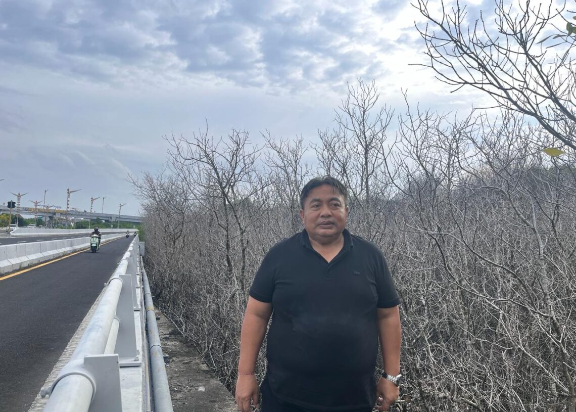 Nyoman Parta saat meninjau ratusan pohon mangrove yang mati di kawasan Pelindo Benoa. -Balitopik.com