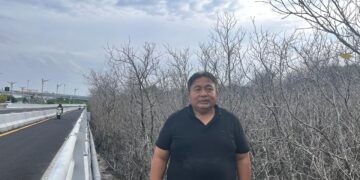 Nyoman Parta saat meninjau ratusan pohon mangrove yang mati di kawasan Pelindo Benoa. -Balitopik.com