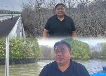 Nyoman Parta saat meninaju secarang langsung ratusan pohon mangrove yang mati di kawasan Pelindo Benoa. -Balitopik.com
