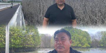 Nyoman Parta saat meninaju secarang langsung ratusan pohon mangrove yang mati di kawasan Pelindo Benoa. -Balitopik.com