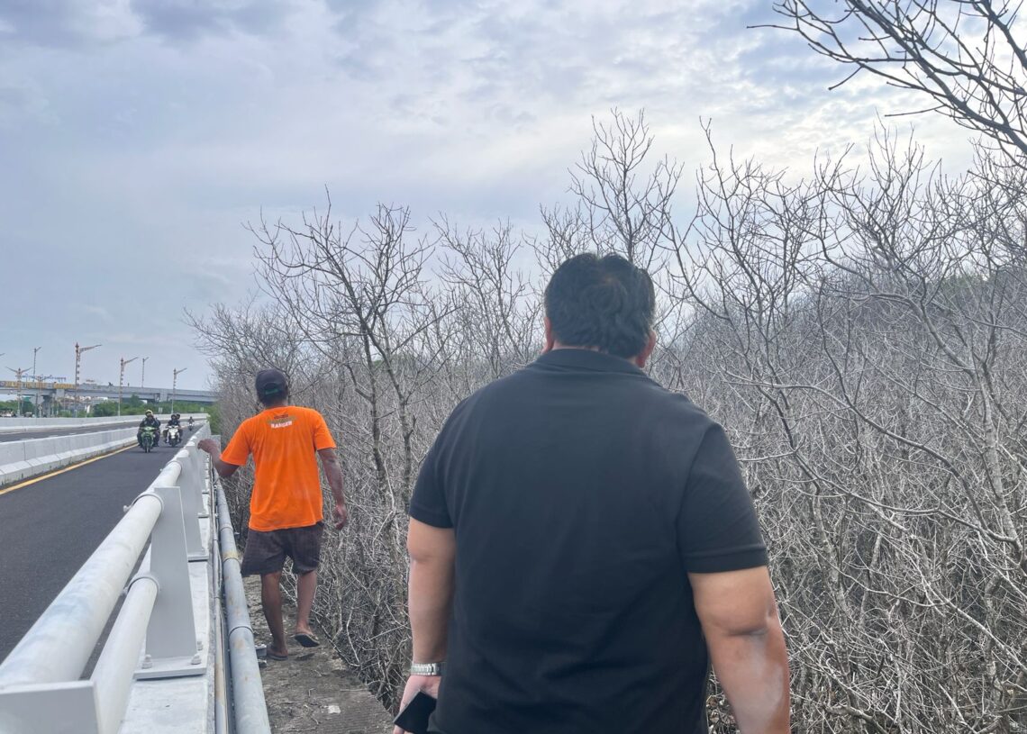 Nyoman Parta (kaos hitam) saat tinjau ratusan pohon mangrove yang mati. -Balitopik.com