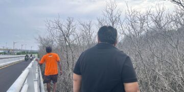 Nyoman Parta (kaos hitam) saat tinjau ratusan pohon mangrove yang mati. -Balitopik.com