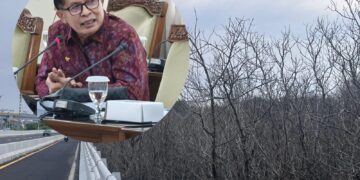 Ketua Panitia Khusus Tata Ruang, Aset, dan Perizinan (Pansus TRAP) DPRD Provinsi Bali I Made Supartha, S.H., M.H. -Balitopik.com