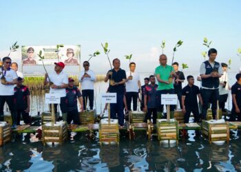 Pejabat Bali menanam mangrove di kawasan Tahura Ngurah Rai