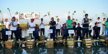 Pejabat Bali menanam mangrove di kawasan Tahura Ngurah Rai