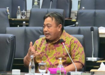 I Nyoman Parta saat menghadiri pertemuan bersama perwakilan masyarakat adat dan koalisi sipil di DPR RI, Jakarta. -IST/BALITOPIK.COM