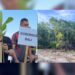 Kolase: Gubernur Bali Wayan Koster saat mennnam mangrove tadi pagi dan lahan BTID yang disegel karena dugaan pembabatan mangrove. -BALITOPIK.COM