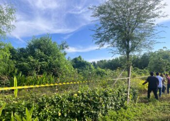 Lahan mangrove yang sudah SHGB oleh PT BTID di Kawasan Kura-Kura Bali. Lahan ini untuk sementara disegel Satpol PP Line. -BALITOPIK.COM