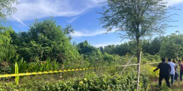 Lahan mangrove yang sudah SHGB oleh PT BTID di Kawasan Kura-Kura Bali. Lahan ini untuk sementara disegel Satpol PP Line. -BALITOPIK.COM