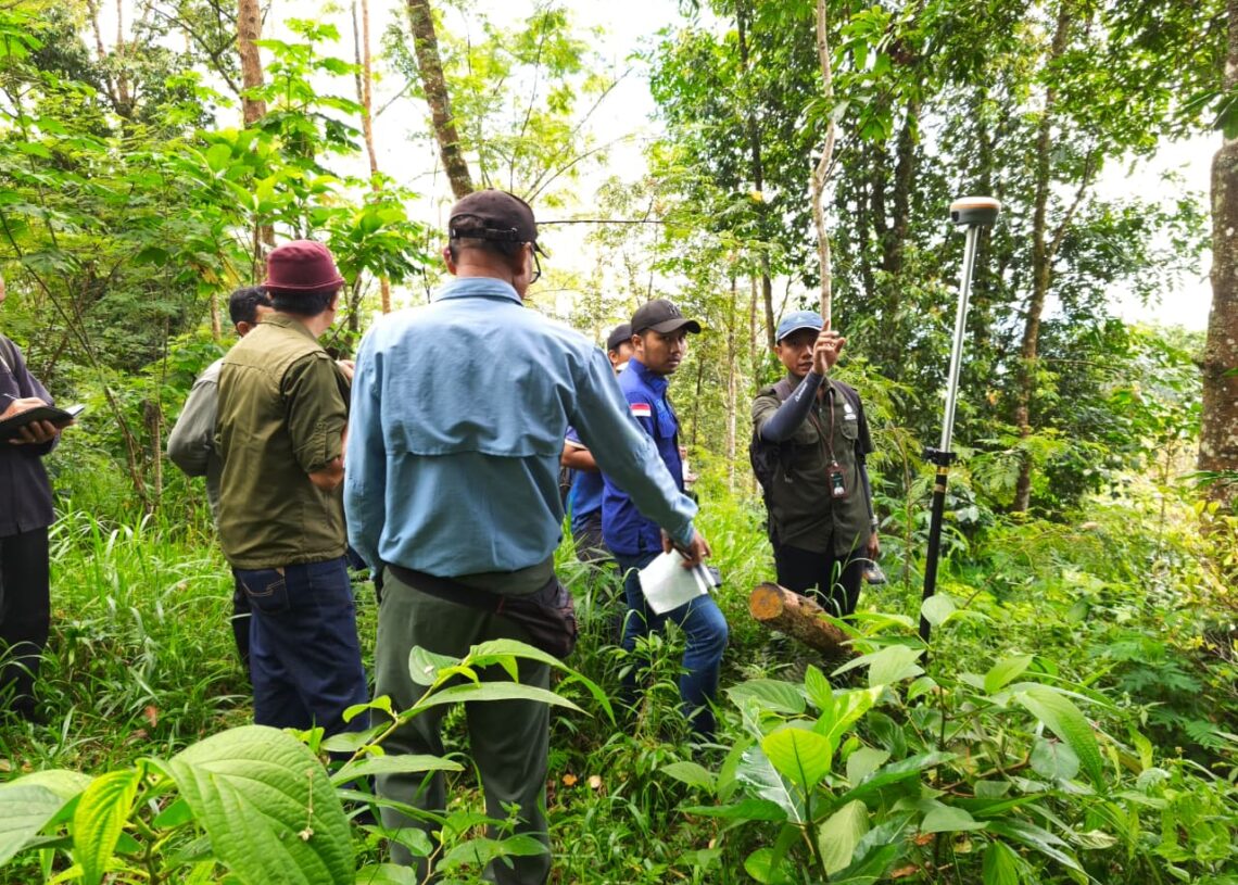 Tim Kejati Bali bersama instansi terkait melakukan pengecekan kawasan hutan di Desa Sebudi, Karangasem terkait dugaan tukar guling mangrove BTID.