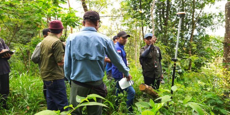 Tim Kejati Bali bersama instansi terkait melakukan pengecekan kawasan hutan di Desa Sebudi, Karangasem terkait dugaan tukar guling mangrove BTID.