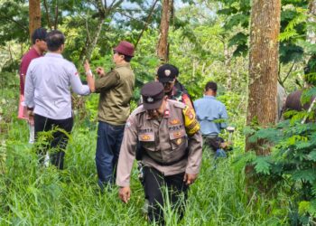 Petugas Kejati Bali dan BPN melakukan survey lahan terkait dugaan tukar guling mangrove PT BTID di Karangasem.