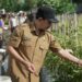 Tim Pengendalian Inflasi Daerah (TPID), Pemkab Badung saat turun langsung meninjau sejumlah sentra pertanian dan peternakan. -IST