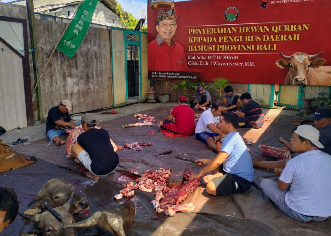 Pengurus BAMUSI Bali saat memotong hewan qurban yang disumbangkan oleh Wayan Koster. -BALITOPIK.COM