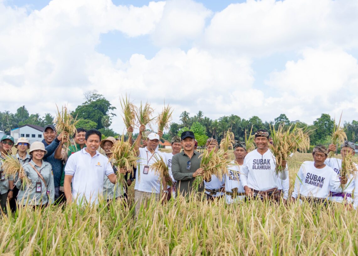 Jajaran Pemkab Badung saat melakukan pemantauan harga dan ketersediaan pangan di sejumlah titik. -IST