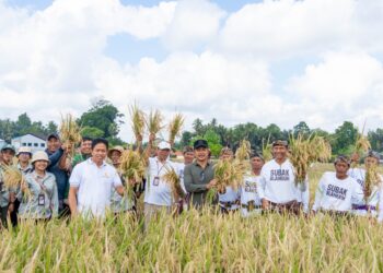 Jajaran Pemkab Badung saat melakukan pemantauan harga dan ketersediaan pangan di sejumlah titik. -IST
