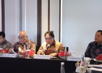 Wakil Gubernur Bali, Nyoman Giri Prasta saat menghadiri rapat bersama DPD RI. -IST