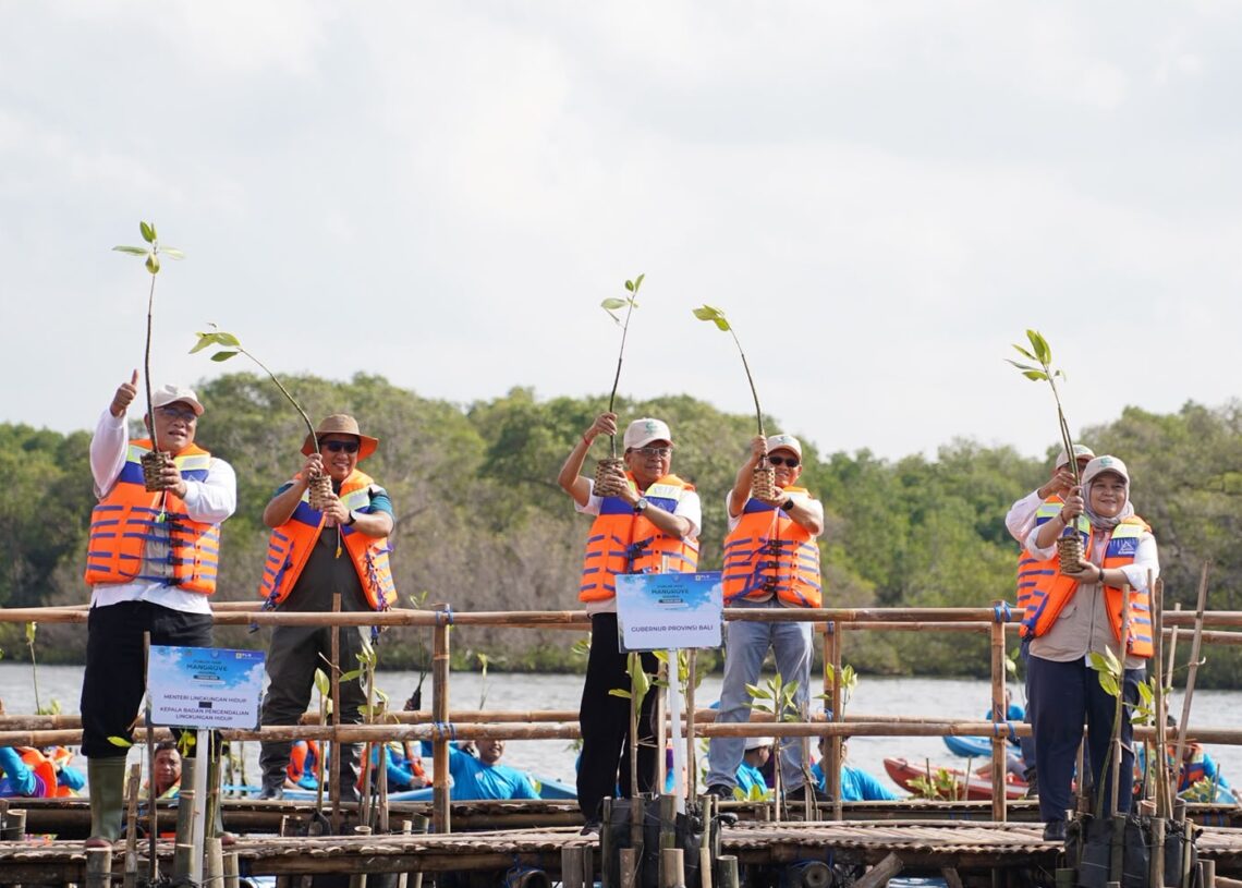 Gubernur Bali Wayan Koster saat mendampingi Menteri Lingkungan Hidup/Kepala Badan Pengendalian Lingkungan Hidup, Menteri Kelautan dan Perikanan, serta jajaran pemerintah pusat menanam Mangrove. -BALITOPIK.COM