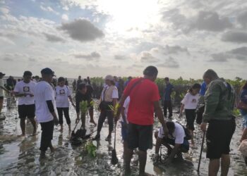 Komunitas Bungawaru Bali dan GEPAB saat ikut terlibat dalam aksi tanam mangrove dan bersih-bersih. - BALITOPIK.COM